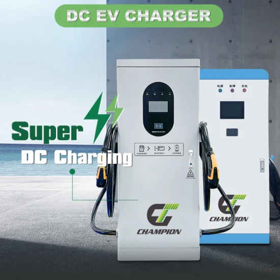 Stazione di ricarica Evse per veicoli elettrici New Energy 7kw 15kw 20kw 30kw 40kw CCS2 portatile mobile veloce DC EV Charger Station